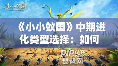 《小小蚁国》中期进化类型选择：如何打造最强蚁群