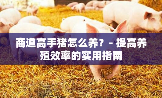 商道高手猪怎么养？- 提高养殖效率的实用指南